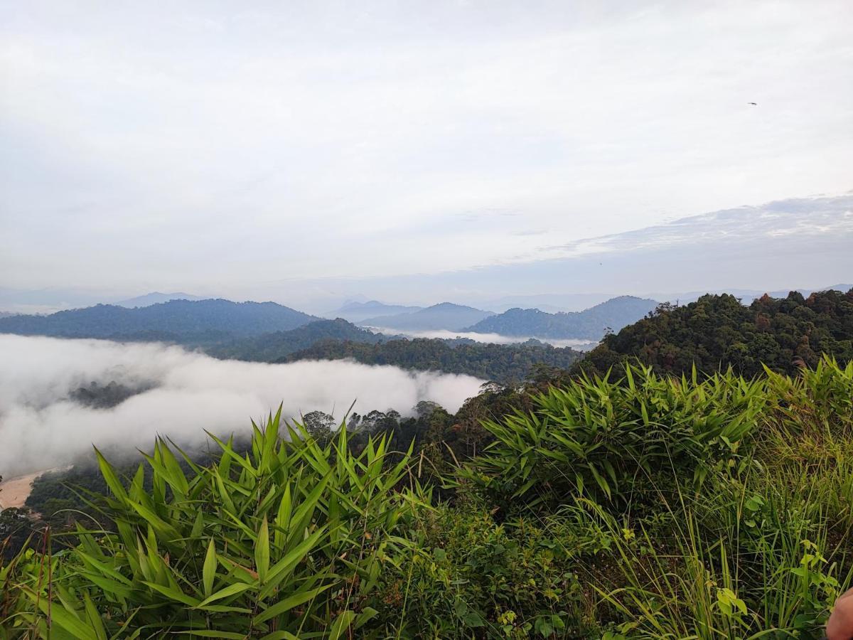 Tekoma Resort Taman Negara Kuala Tahan Zewnętrze zdjęcie