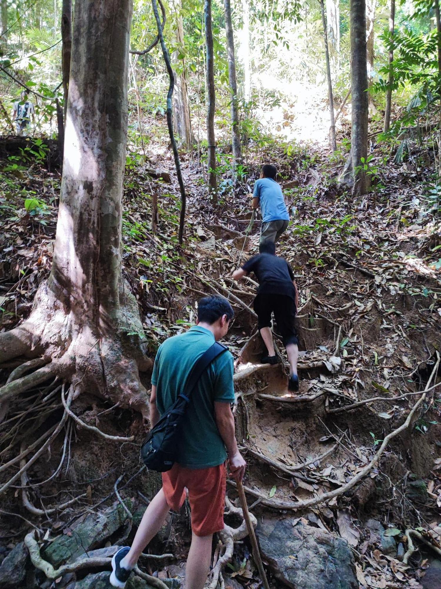 Tekoma Resort Taman Negara Kuala Tahan Zewnętrze zdjęcie