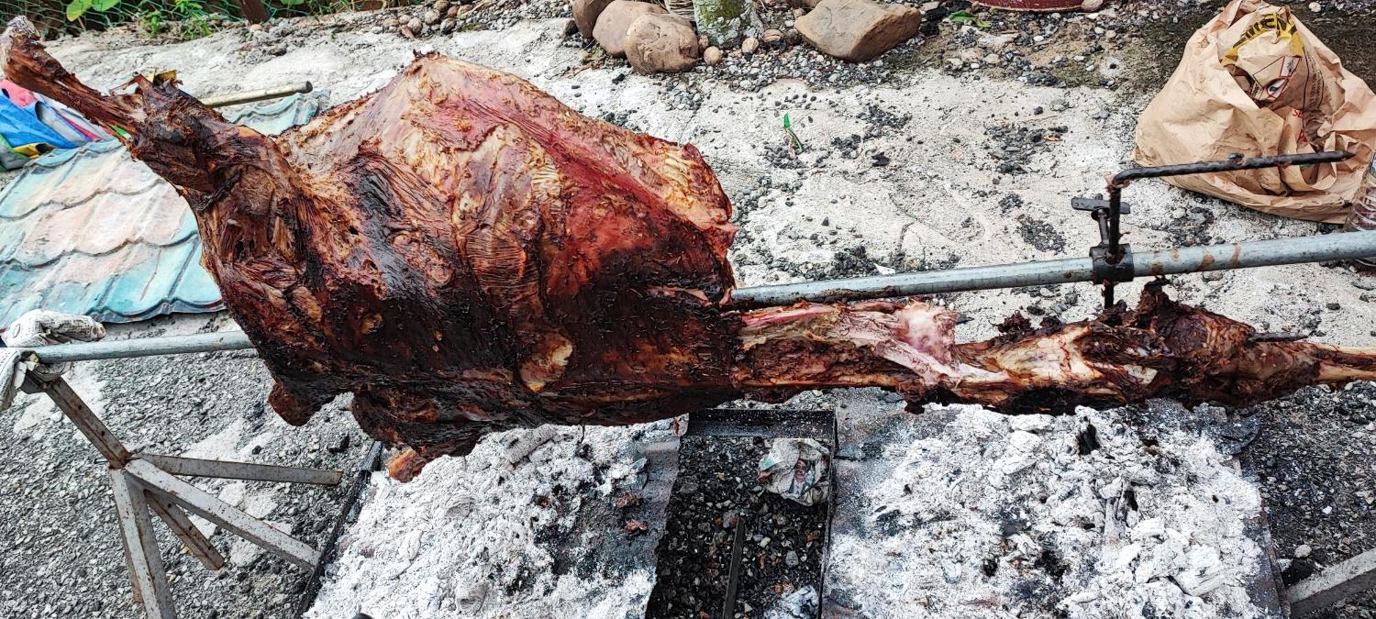 Tekoma Resort Taman Negara Kuala Tahan Zewnętrze zdjęcie