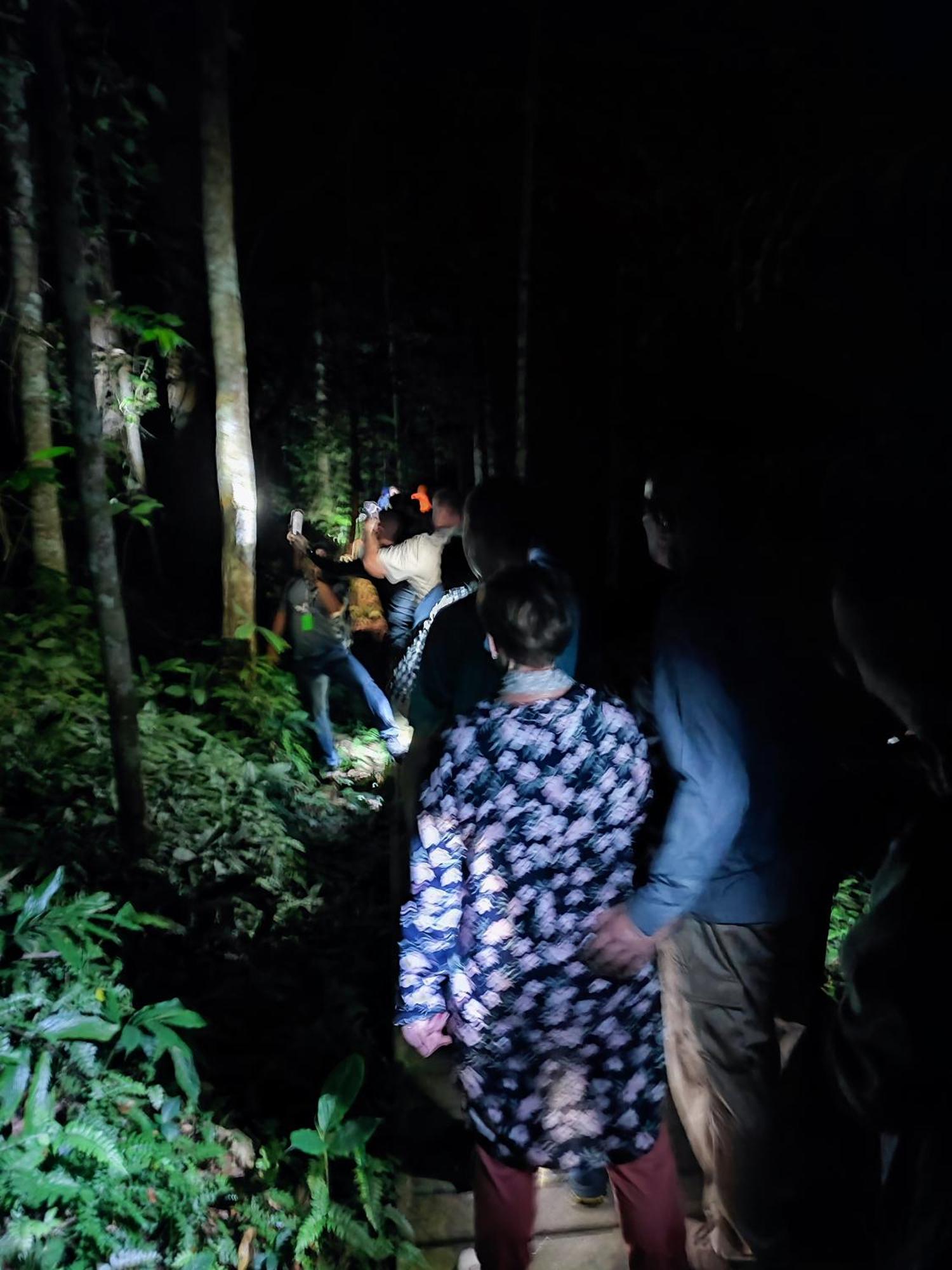 Tekoma Resort Taman Negara Kuala Tahan Zewnętrze zdjęcie